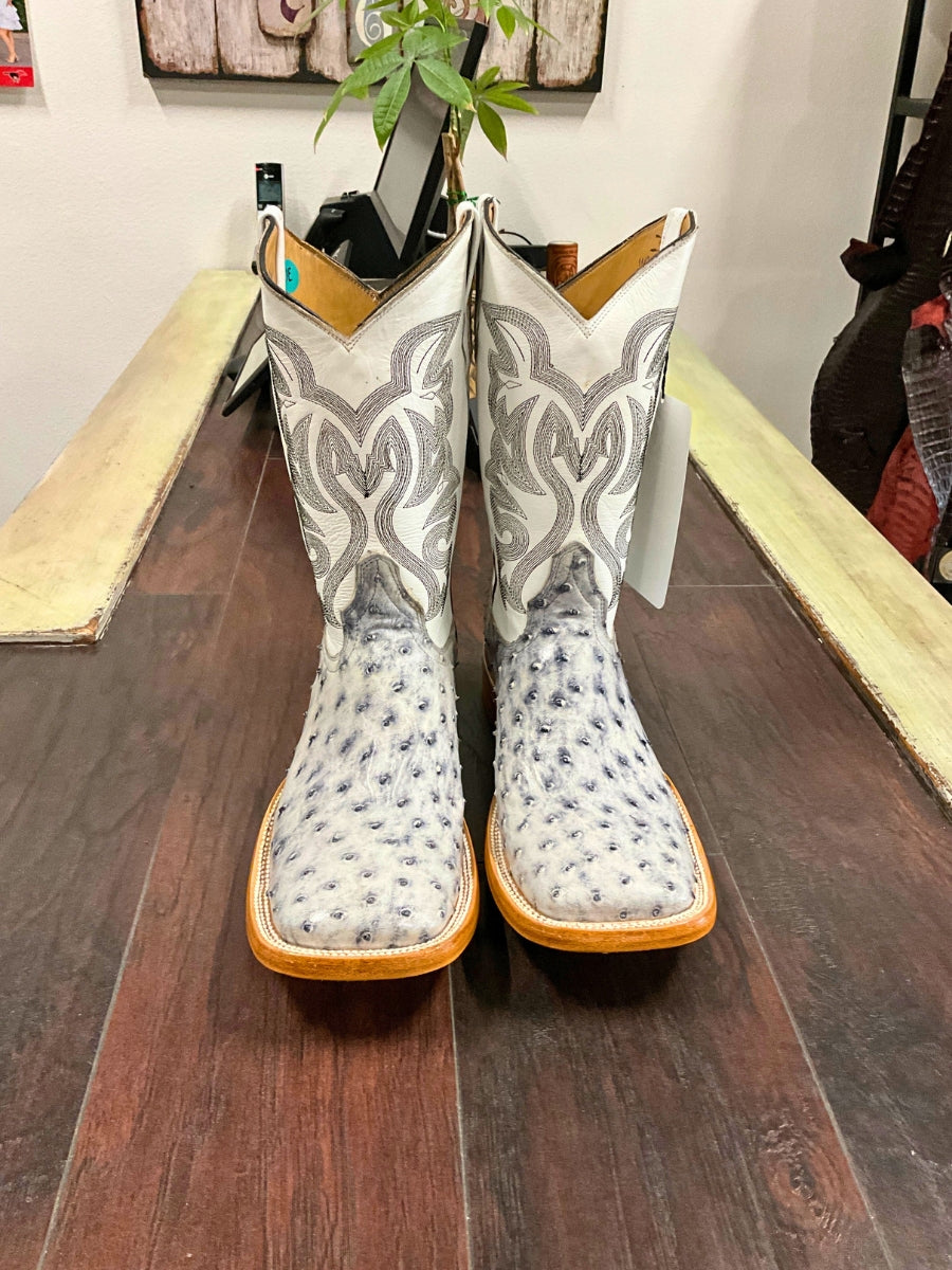 American Alligator Horn Back Western Boots