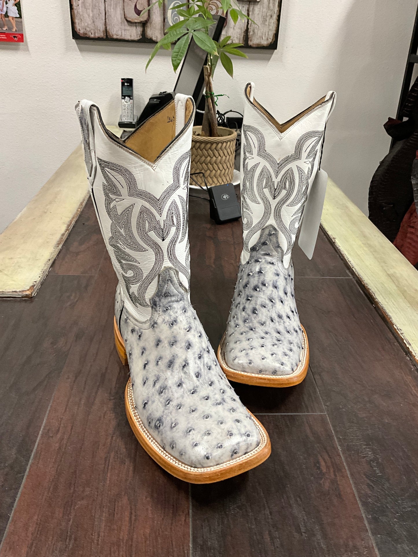 American Alligator Horn Back Western Boots
