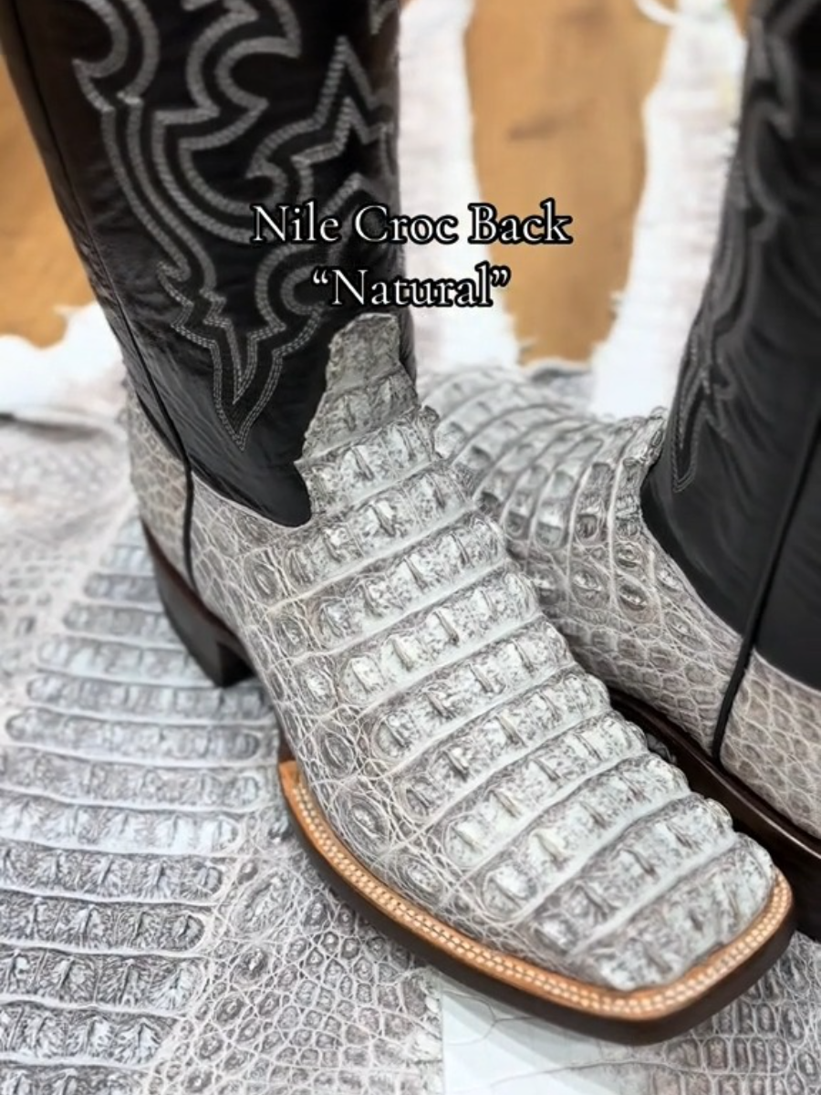 Nile Croc Back In Color “Natural”